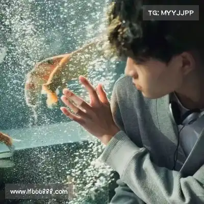 费朗标